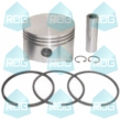 Piston and Rings